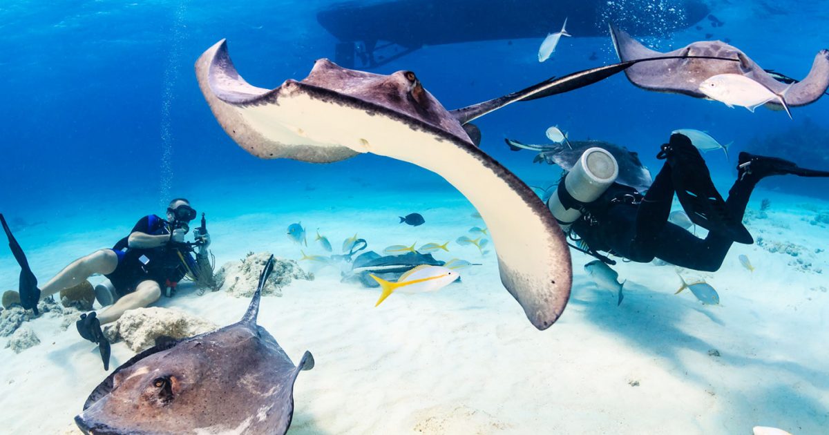 10 Can’t Miss Grand Cayman Adventures