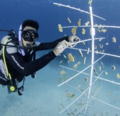 Coral Nursery Dive