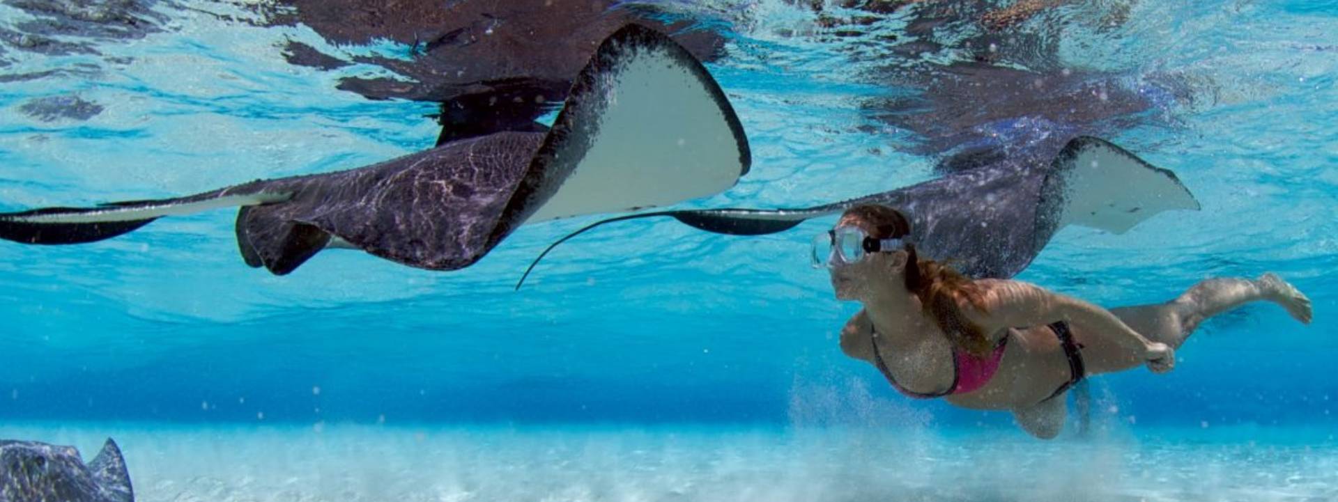 Best time to go to grand cayman