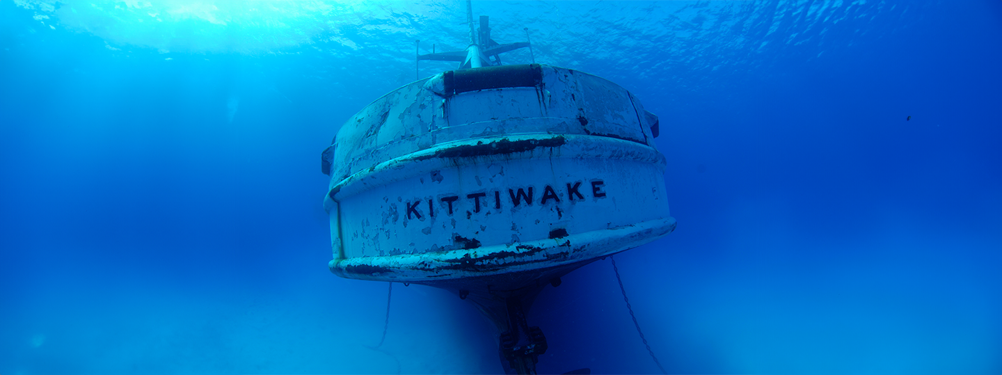 Underwater shot of the USSR Kittiwake shipwreck and artificial reef.