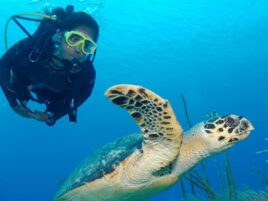 cayman islands tour packages