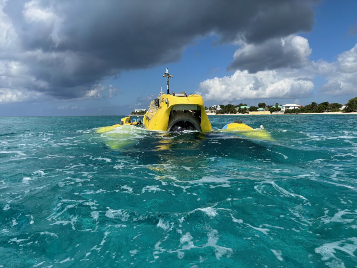 Subcat Cayman
