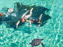 Cayman Turtle Centre