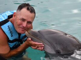 Dolphin Royal Swim
