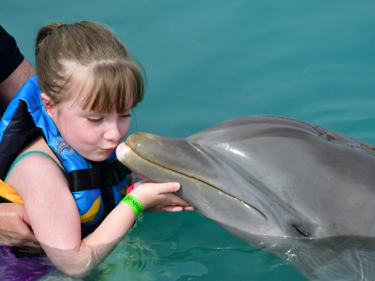 Dolphin Swim Adventure
