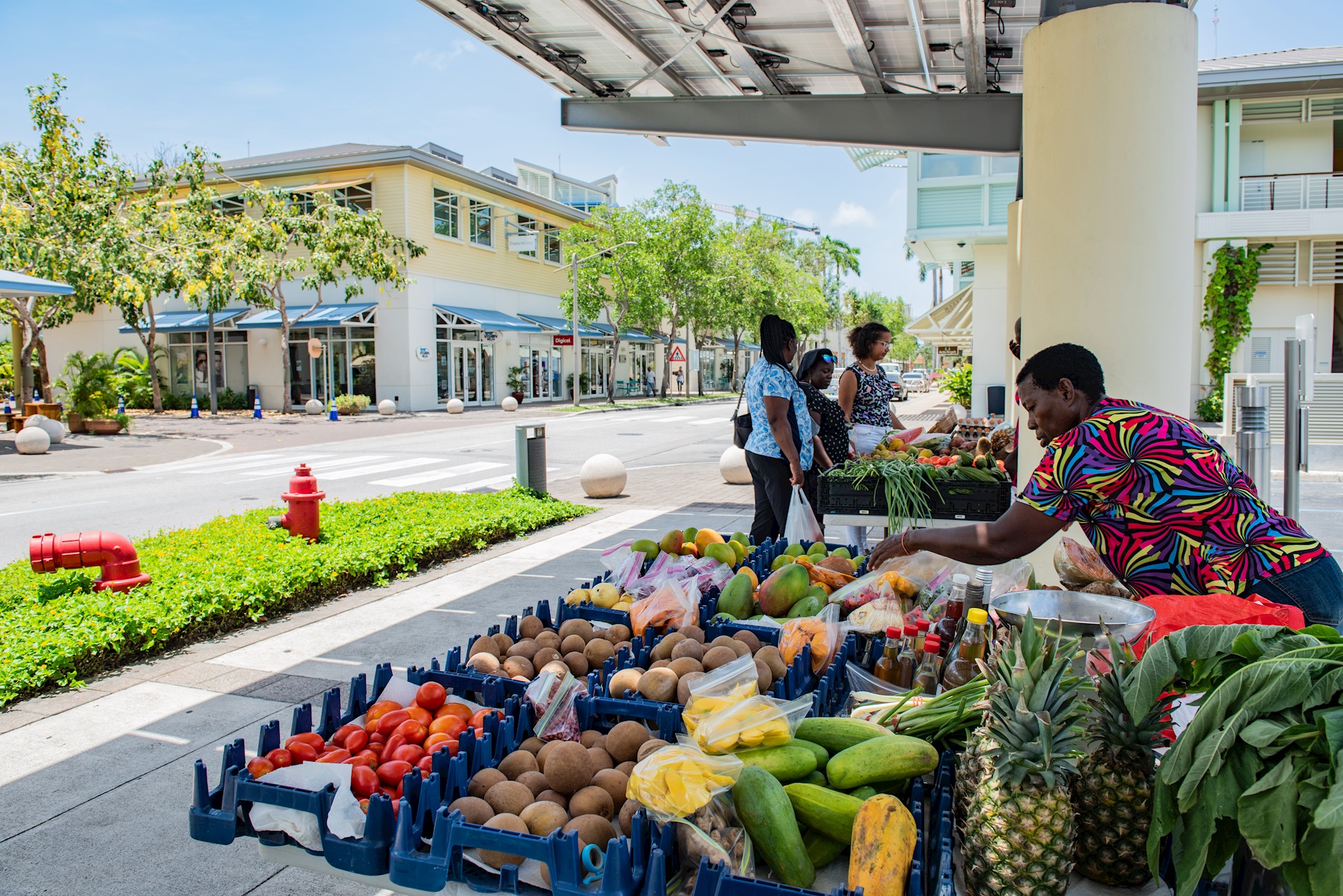 Harvest Market