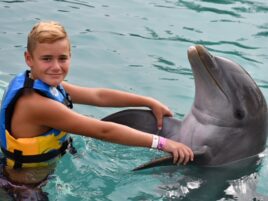 little boy with dolphin